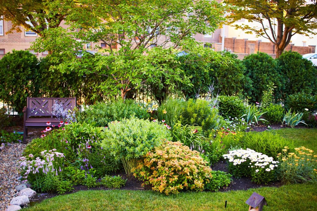 Home & Garden Reviews